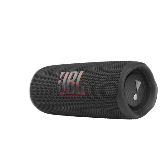 JBL Flip 6